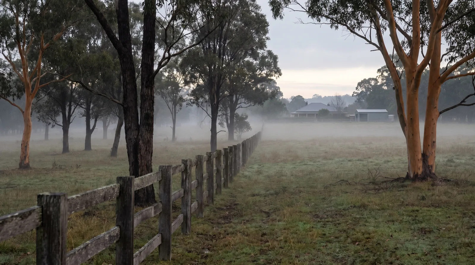 A post-and-rail fence line running through morning fog toward a distant house and shed among gums